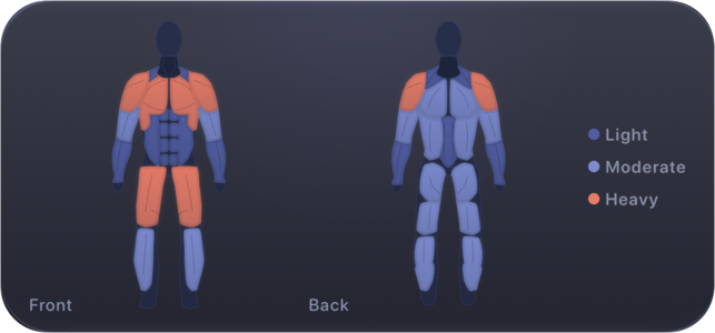 KasMaker medium widget showing front and back muscle map
