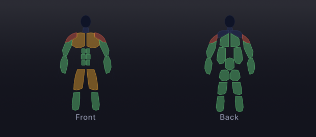 KasMaker medium widget showing front and back muscle map